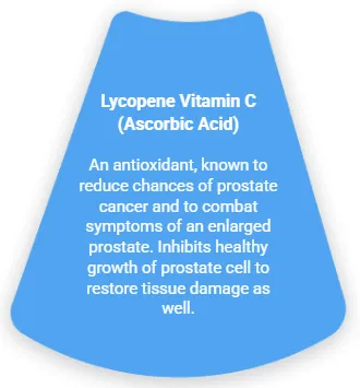 vit2